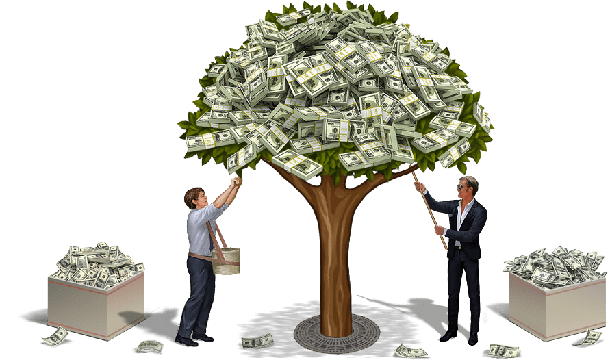 money tree