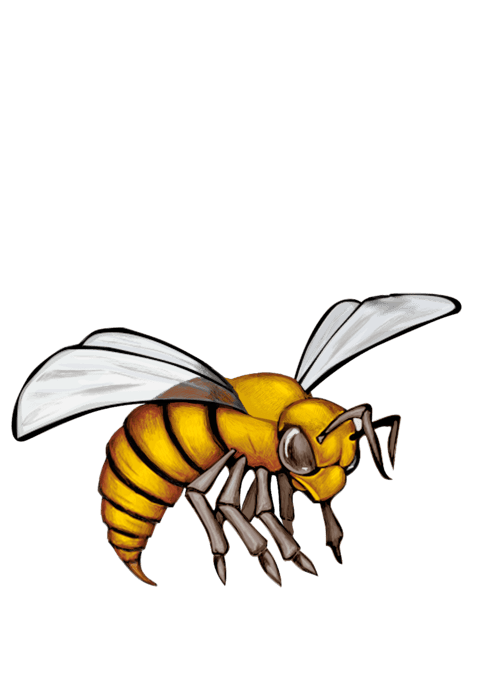 bee