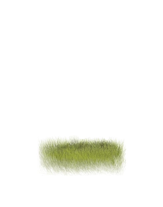 grass