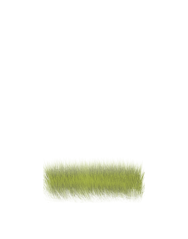 grass