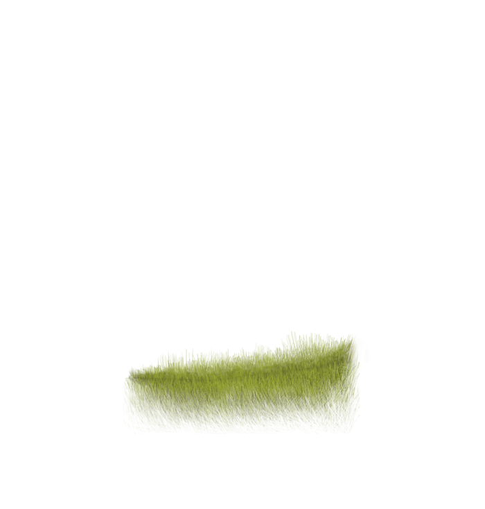 grass