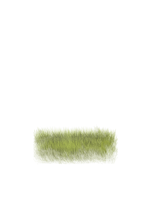 grass